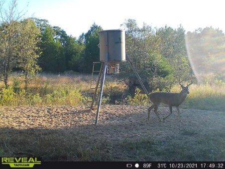 Crossroads ISD - Land