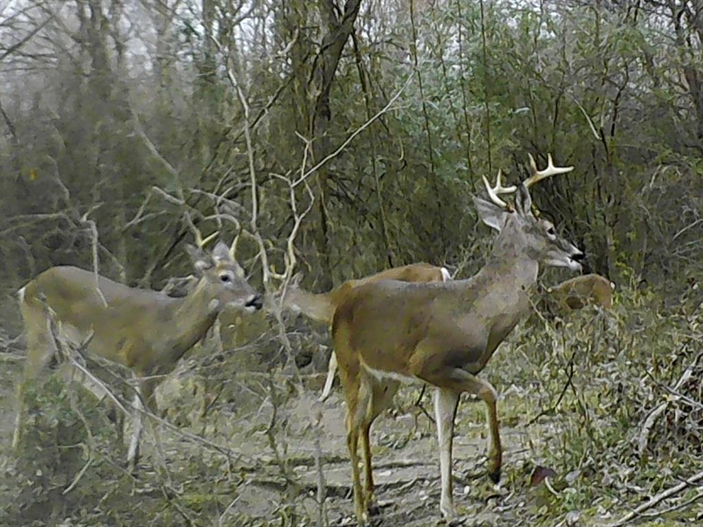 Rural 228 Acres - Farm