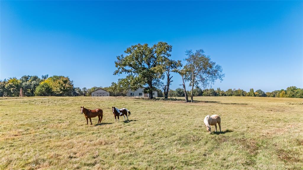Rural 228 Acres - Farm