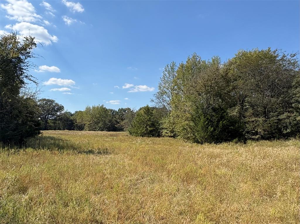Rural 228 Acres - Farm
