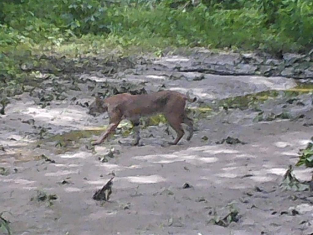 Rural 228 Acres - Farm