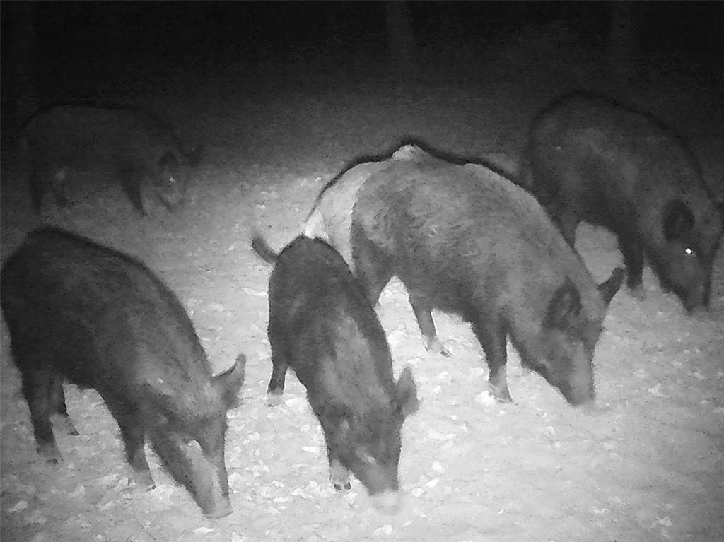 Rural 228 Acres - Farm