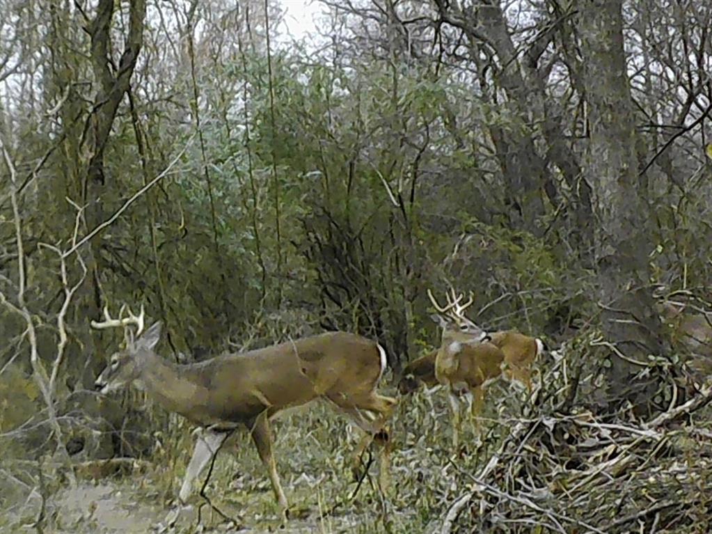 Rural 228 Acres - Farm