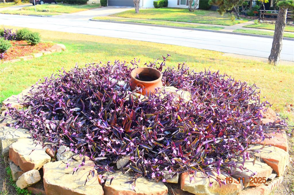 Springridge Add - Residential