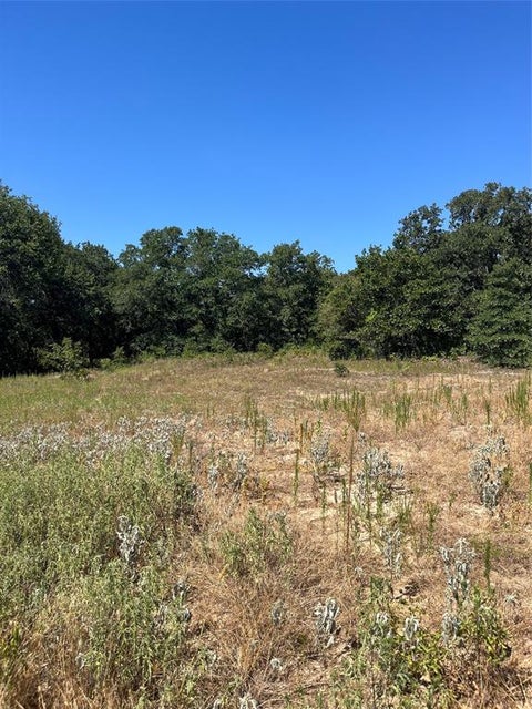 Photo of Lot 42 Antrim Court, Poolville, TX 76487 (MLS # 21392891)