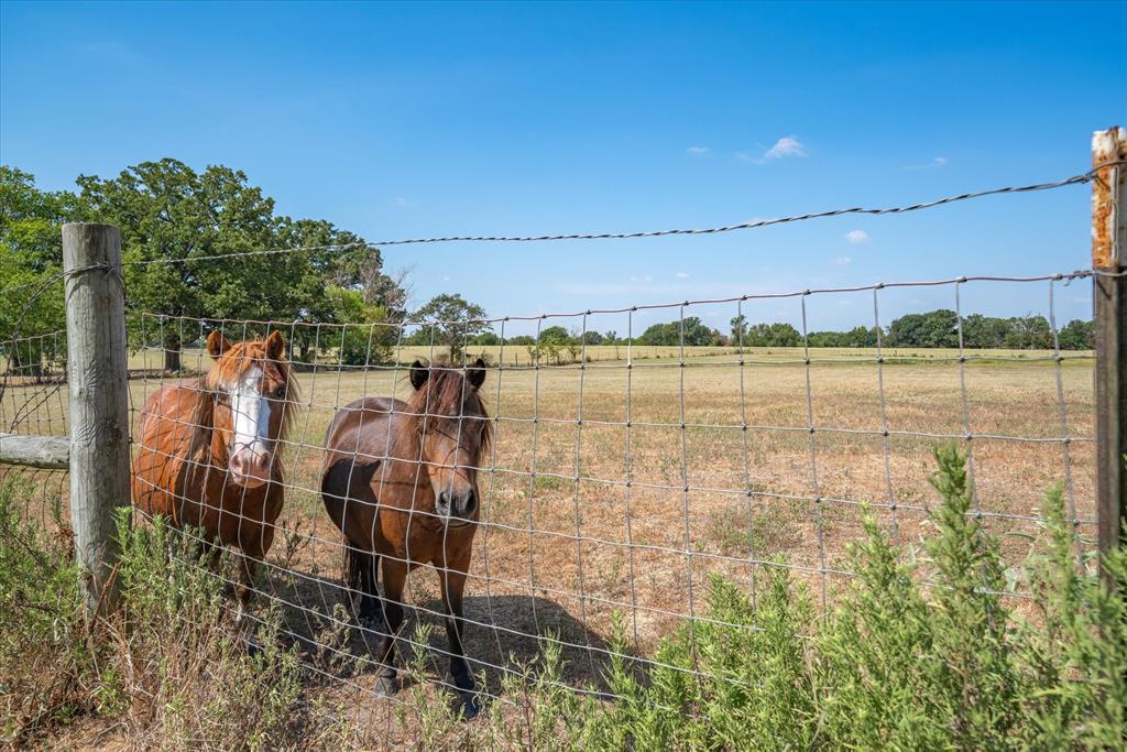 Canton Ranchettes - Residential