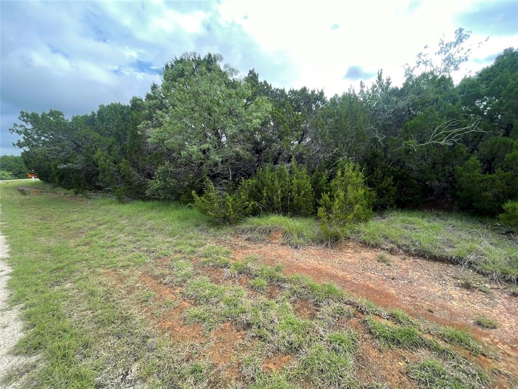 12121 Trailwood Drive
