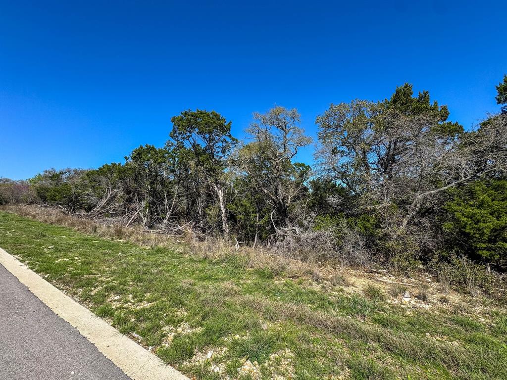 8441 Carnegie Street