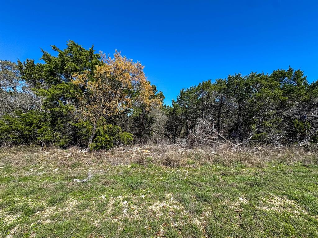 8441 Carnegie Street