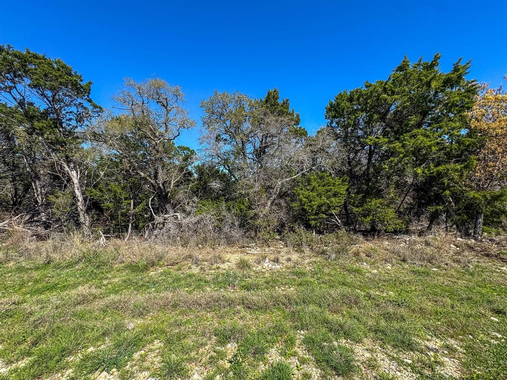 8441 Carnegie Street