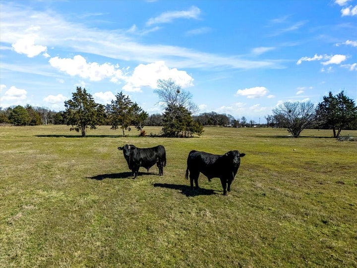 Photo 1 of 40 — 11095 E State Highway 31, Kerens, TX 75144