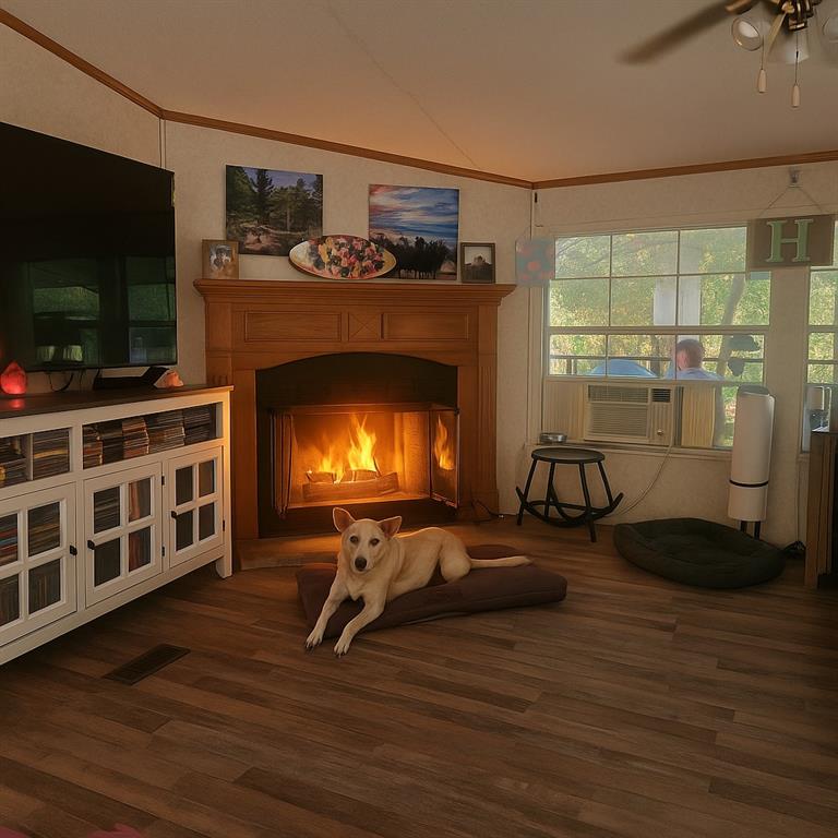 4596 County Road 1155