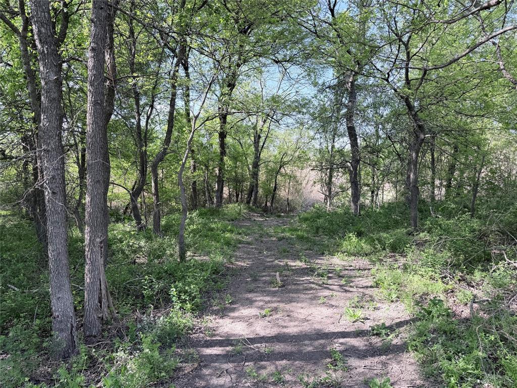 TBD County Road 3204
