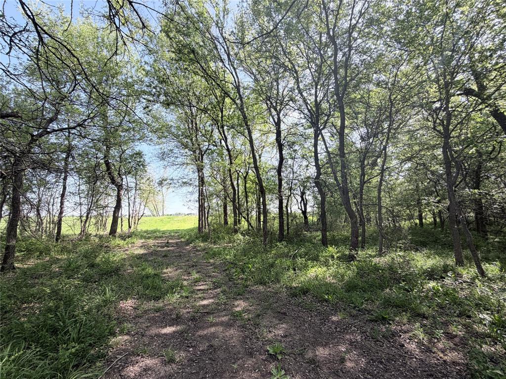 TBD County Road 3204