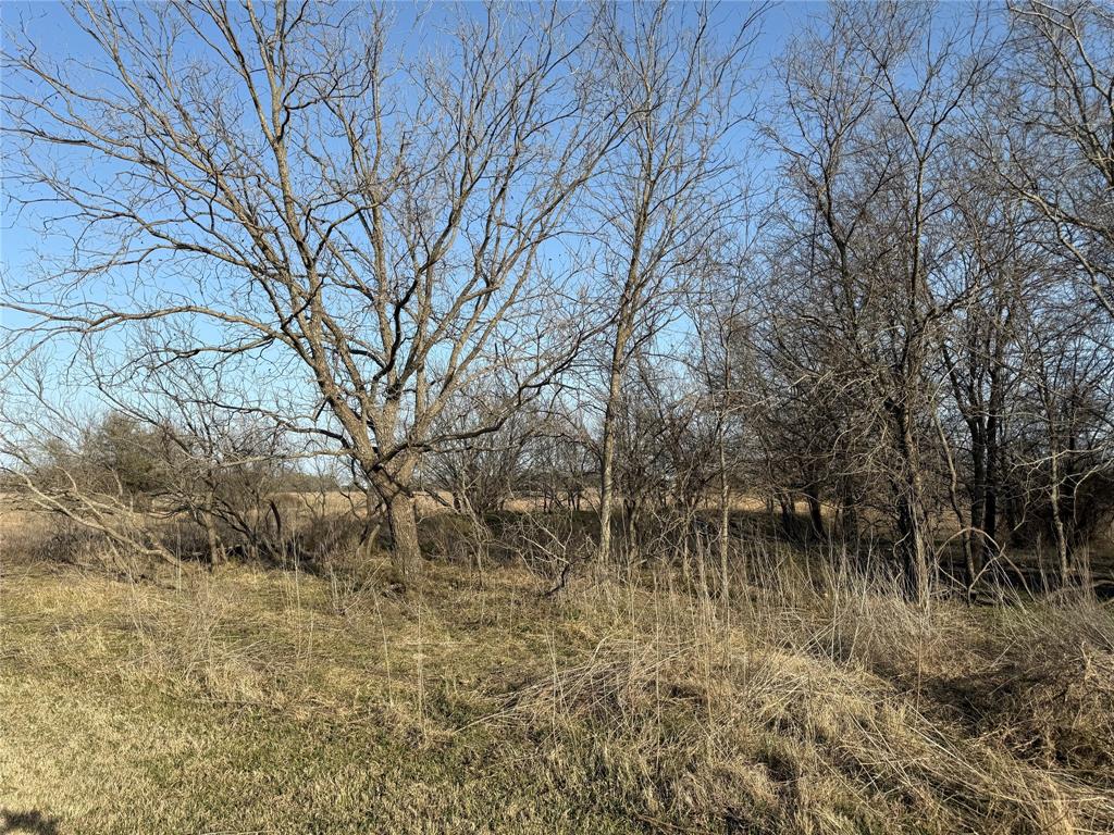 1540 County Road 2960
