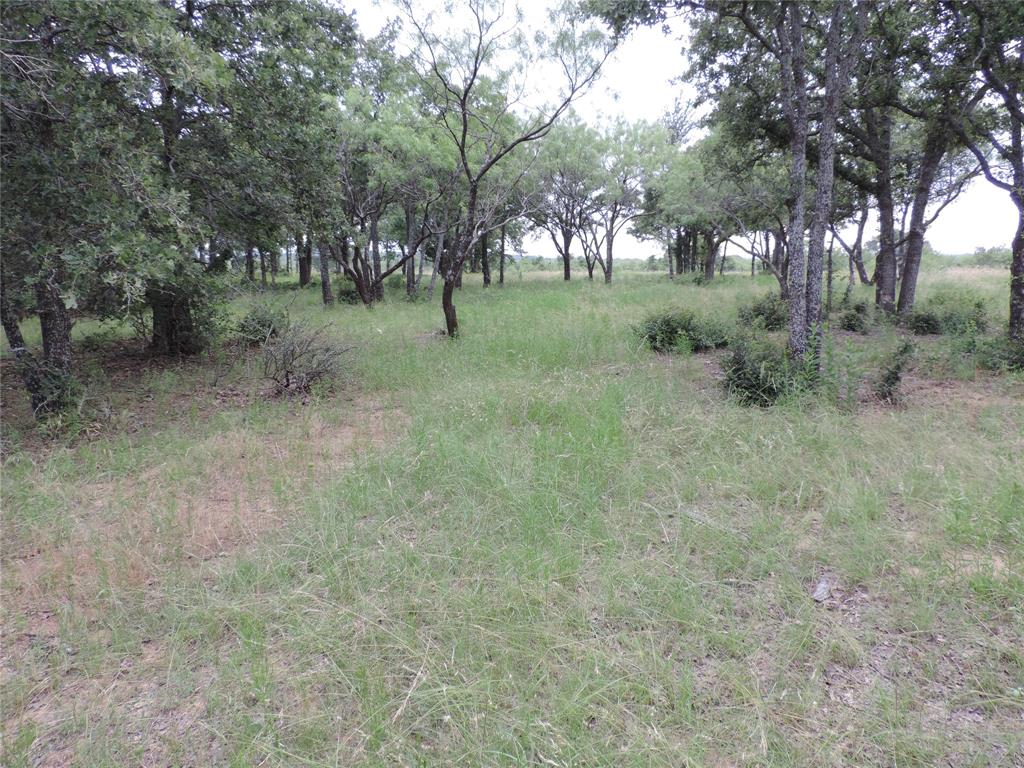 Paradise Oaks Ranch - Land
