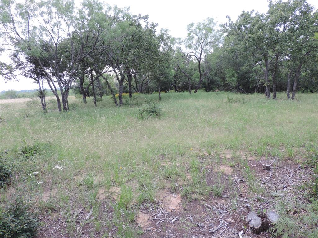 Paradise Oaks Ranch - Land