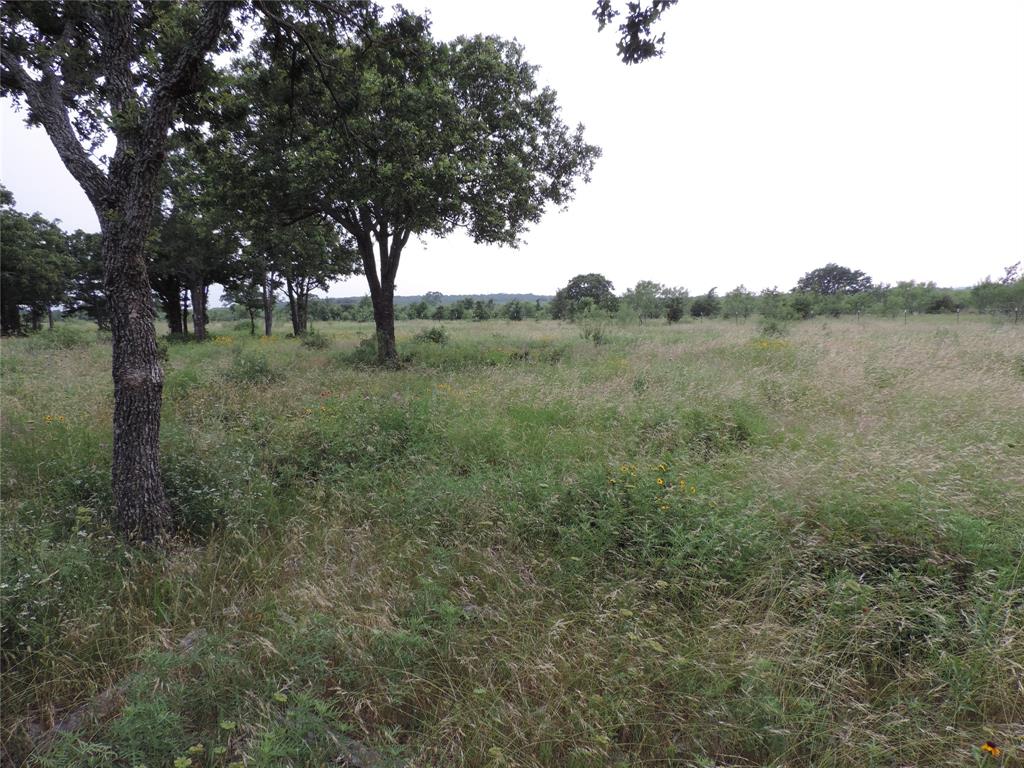 Paradise Oaks Ranch - Land