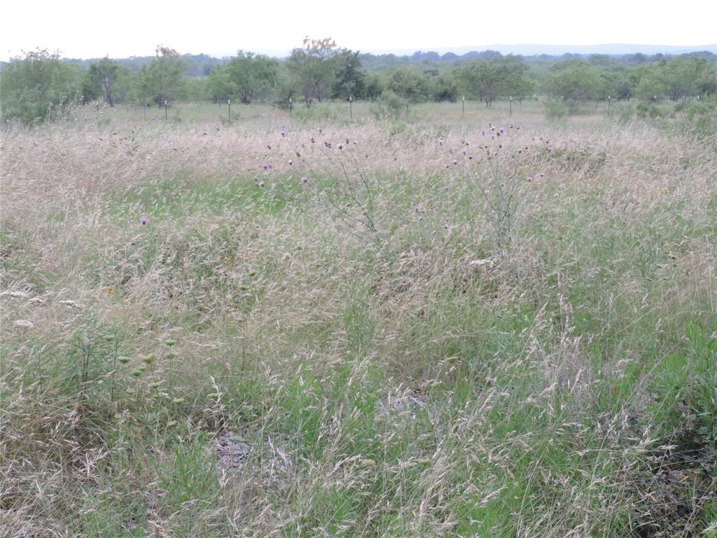 Paradise Oaks Ranch - Land