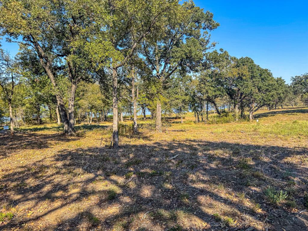 Carmel Valley Estates - Land