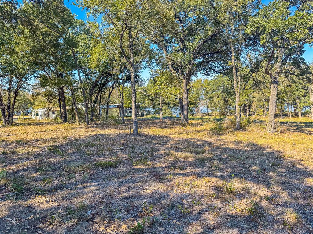 Carmel Valley Estates - Land