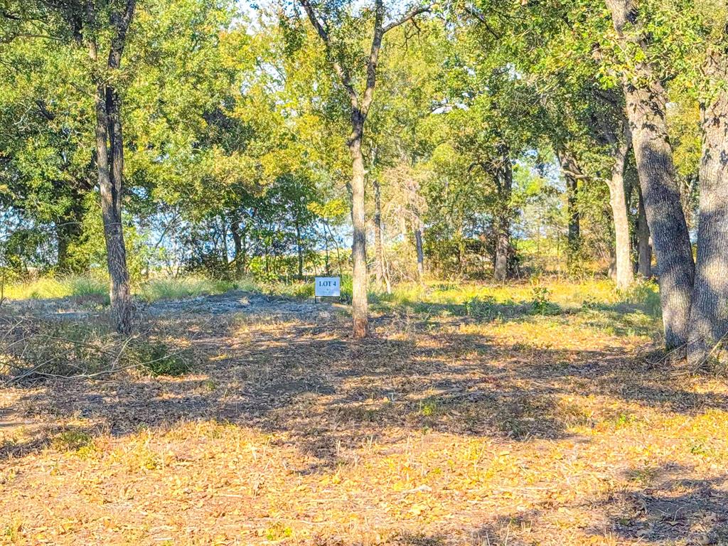 Carmel Valley Estates - Land