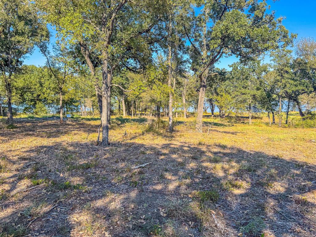 Carmel Valley Estates - Land