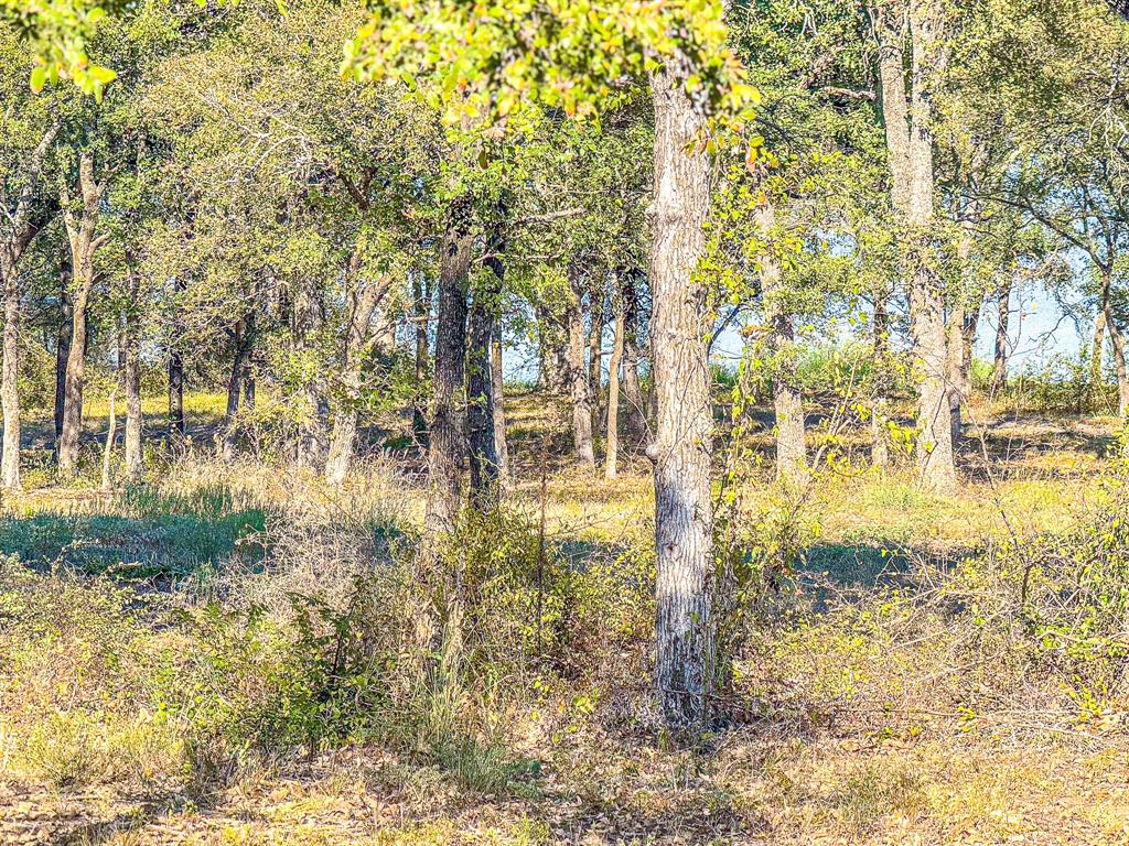 Carmel Valley Estates - Land