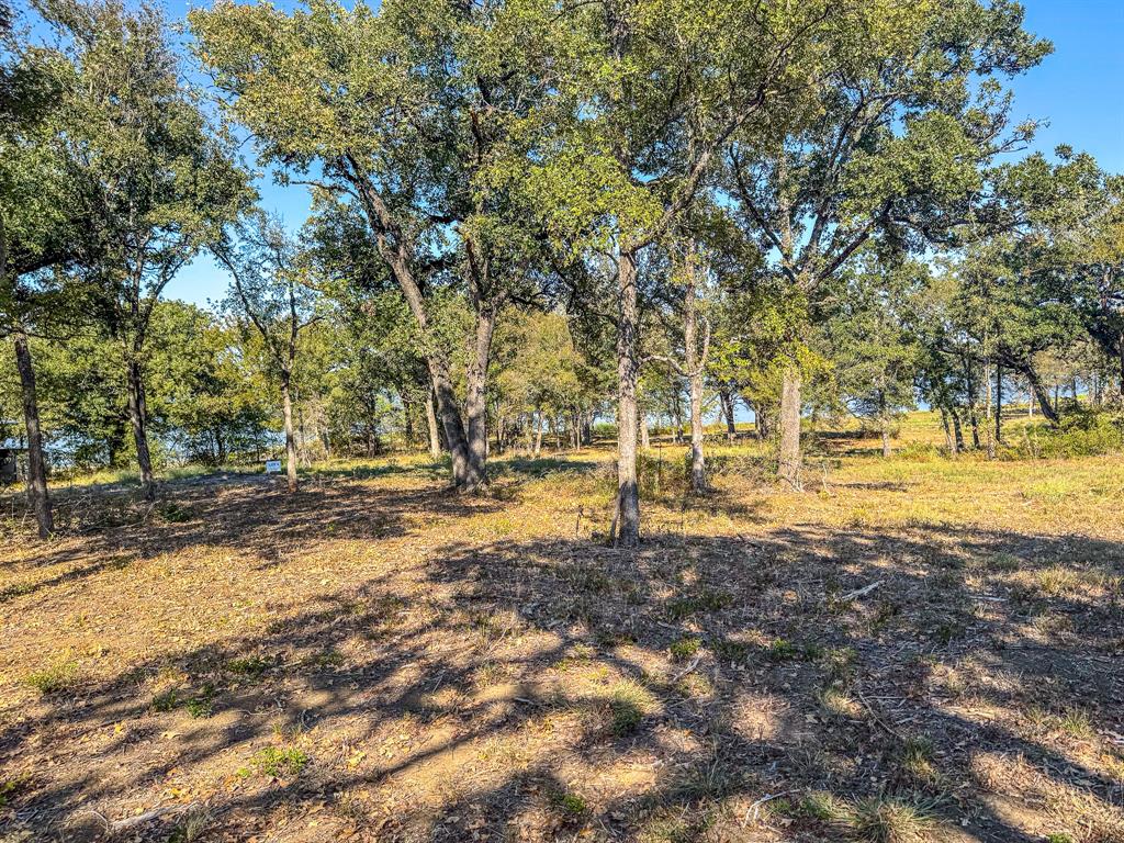 Carmel Valley Estates - Land