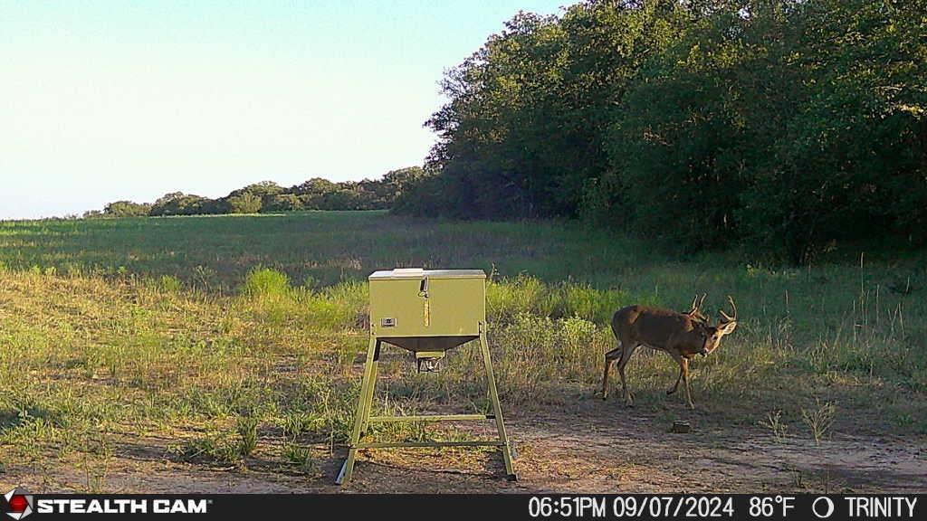 AB 377 W Murray - Farm