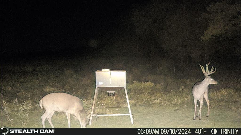 AB 377 W Murray - Farm