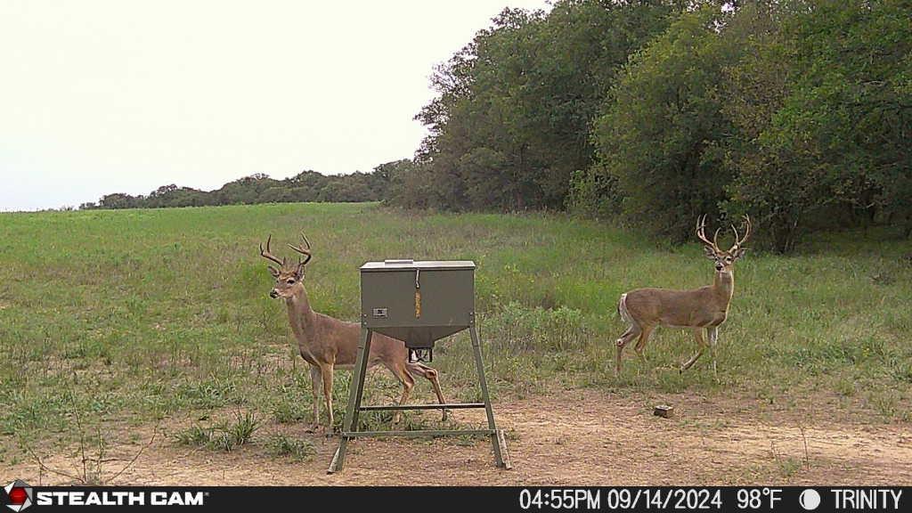 AB 377 W Murray - Farm