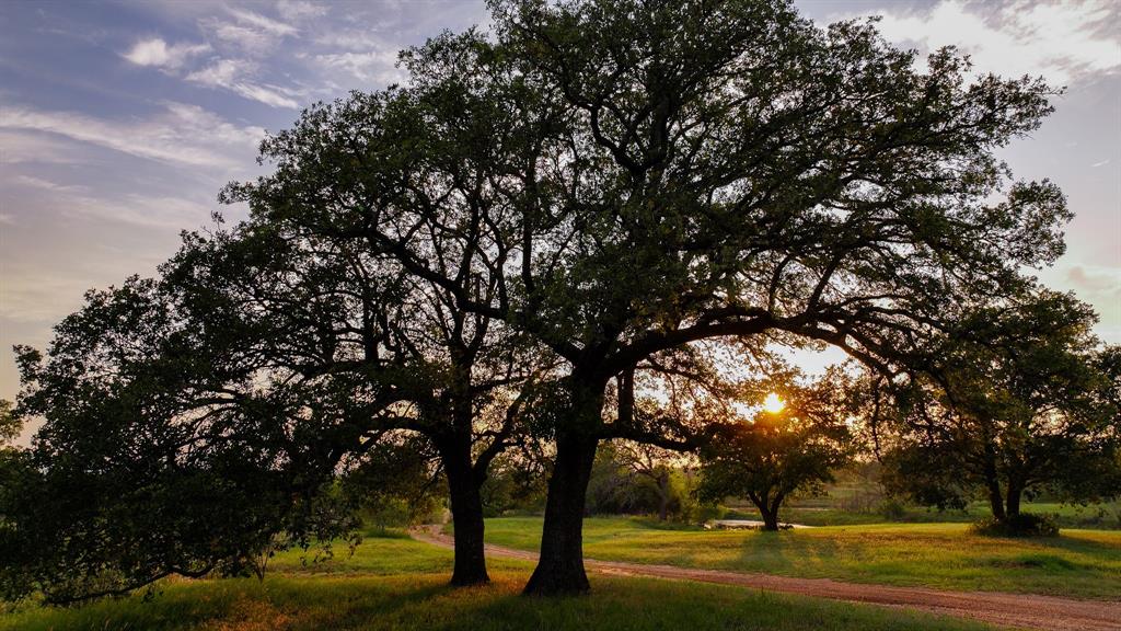 AB 377 W Murray - Farm