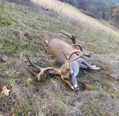 AB 377 W Murray - Farm