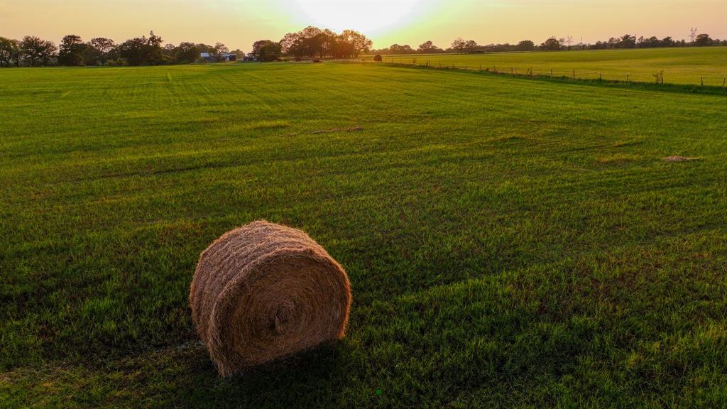 AB 377 W Murray - Farm