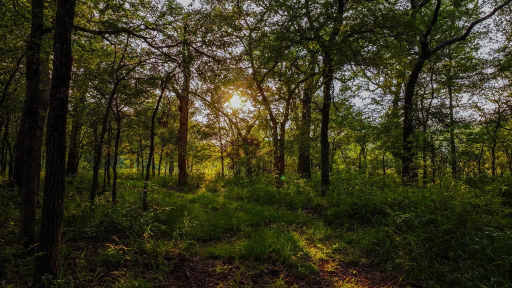 AB 377 W Murray - Farm