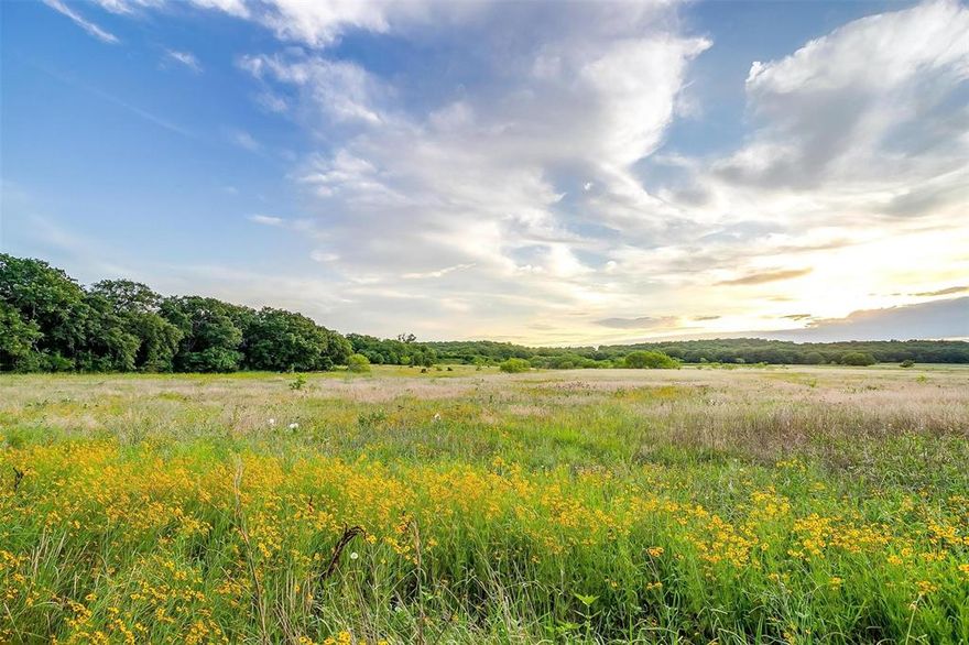 Rolling Oaks Ranch presents a rare opportunity to own 852± acres of diverse, gorgeous topography & abundant surface water including 15 tanks & multiple creeks within just 1 hour of FW. The property offers a varied mix of topography between heavily treed w mature hardwoods & open rolling pasture. The highest point at 1,220’ in the center of the ranch provides breathtaking views of the entire property. The abundant surface water brings wildlife from around including whitetail deer, turkey & hog. An extensive trail system winds through the entire property making exploring this vast ranch a breeze. The newer caliche road provides easy access from FM 2127 all the way through the property to the southernmost back boundary. The property has 5-string barbed wire fence partially on the perimeter & cross-fenced. Groundwater is plentiful in the area with 20+ GPM water wells from the Trinity aquifer. Great investment opportunity. Bring your 1031 money! Currently ag-exempt. BUYER AGENT FRIENDLY!