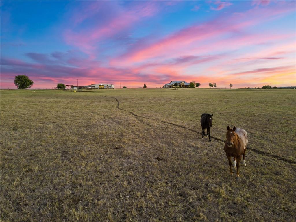 Harrison E A - Residential