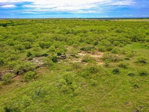 Photo of TBD FM 175, Jacksboro, TX 76365 (MLS # 21341843)