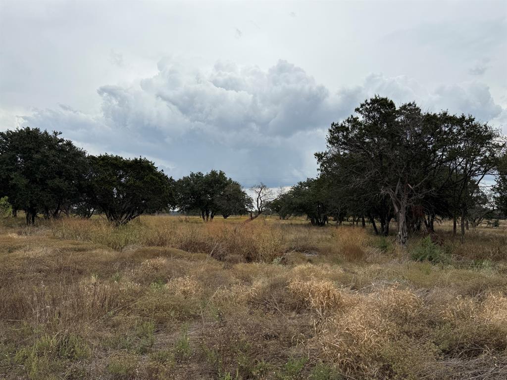 Lot 11 Fm 1690