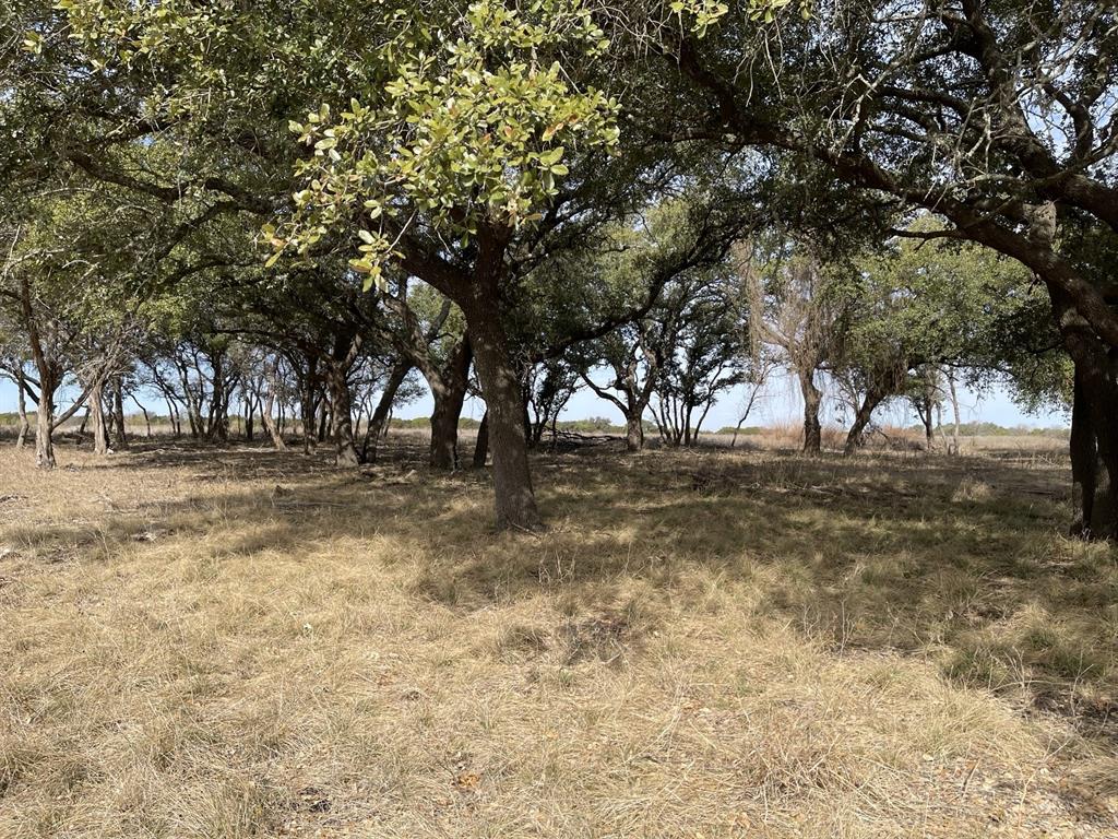 Lot 11 Fm 1690