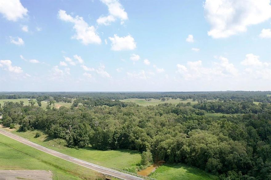 Bliss Creek 10 is a unique property in north-central Leon County with options for a homesite and some recreation opportunities. This parcel is located on the east side of I-45 and 3 miles south of Buffalo. The property has convenient access from FM 2539, also known as Horcrow Lake Road.