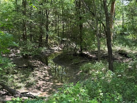 1234 County Road 2905 Dodd City TX 75438
