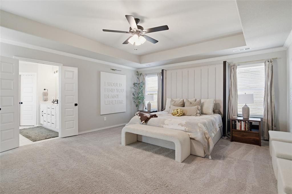 Palmilla Springs - Residential