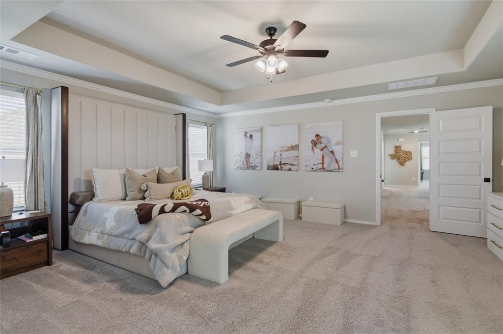 Palmilla Springs - Residential