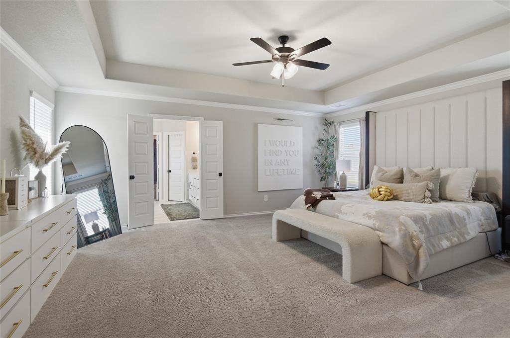 Palmilla Springs - Residential