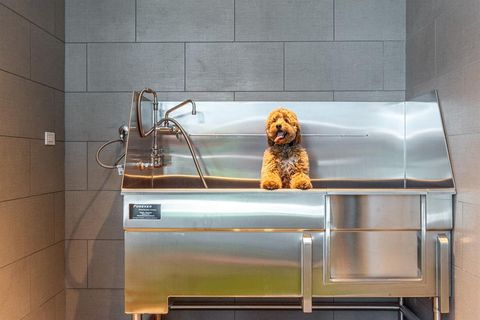 Tiny photo for 1747 Leonard Street #2402, Dallas, TX 75201 (MLS # 20920323)