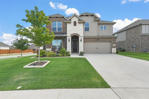 1048 Rosebay Drive Justin TX 76247
