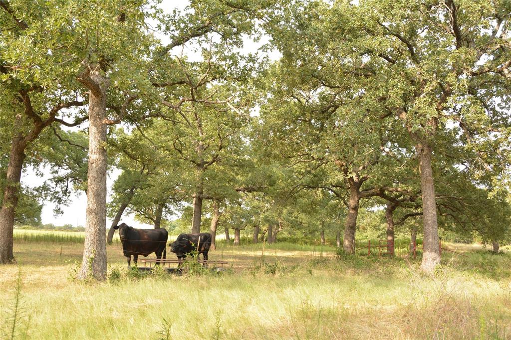 3715 N Highway 281
