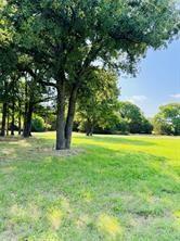 White Bluff #14 - Land